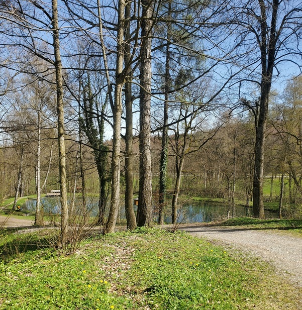 Lebensraum Wald